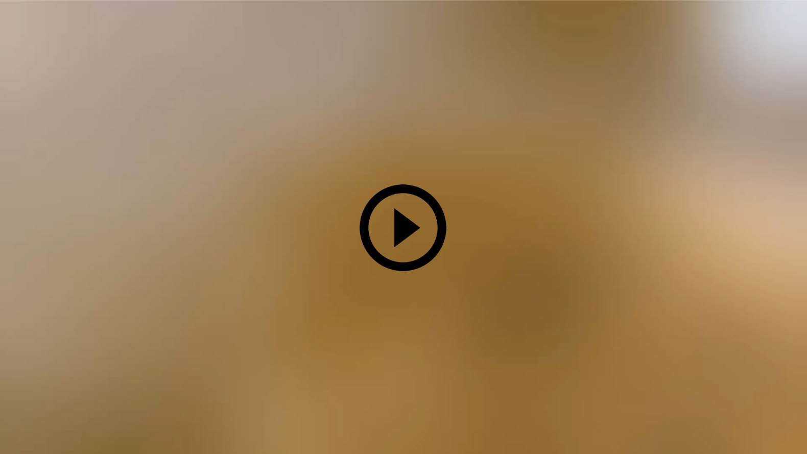 Riproduci Video
